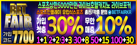토토뉴스